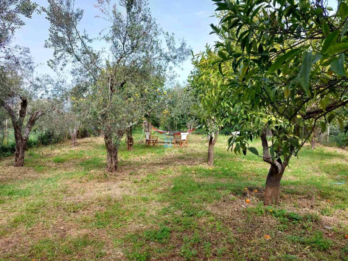 Villa Citrus Tree Garden House Kamisianá Exterior foto
