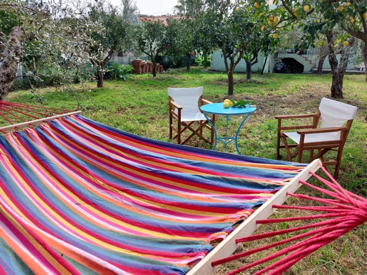 Villa Citrus Tree Garden House Kamisianá Exterior foto