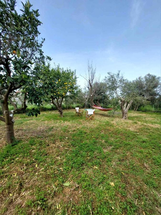 Villa Citrus Tree Garden House Kamisianá Exterior foto