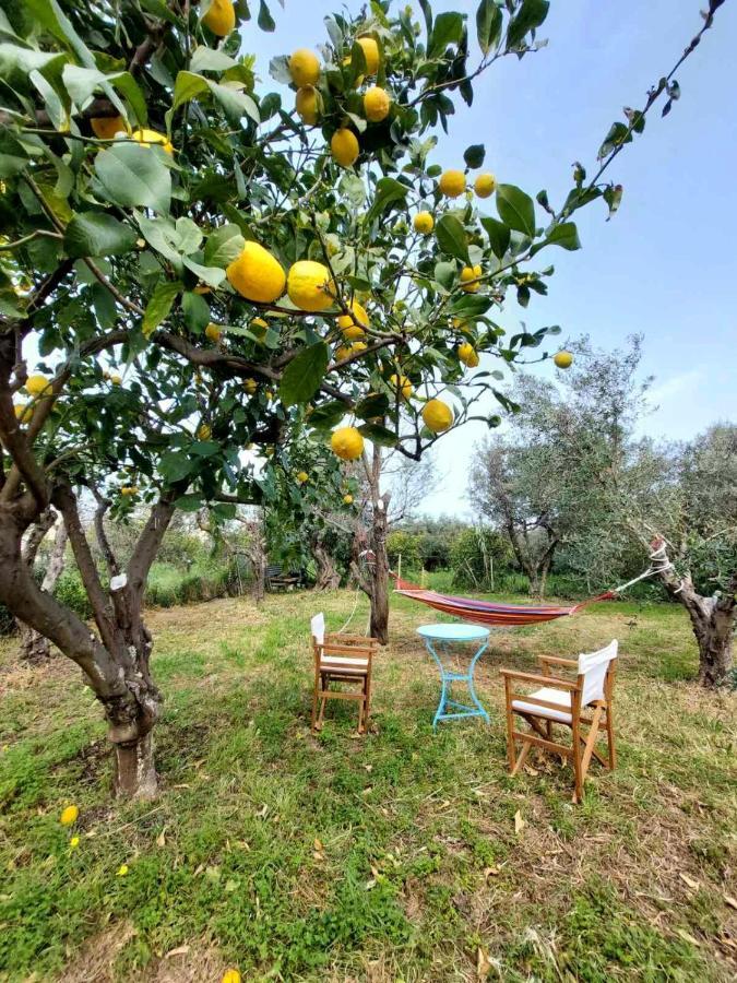 Villa Citrus Tree Garden House Kamisianá Exterior foto